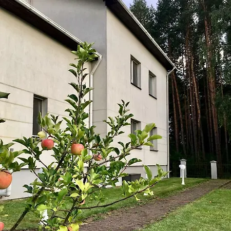 Anna * Vilnius